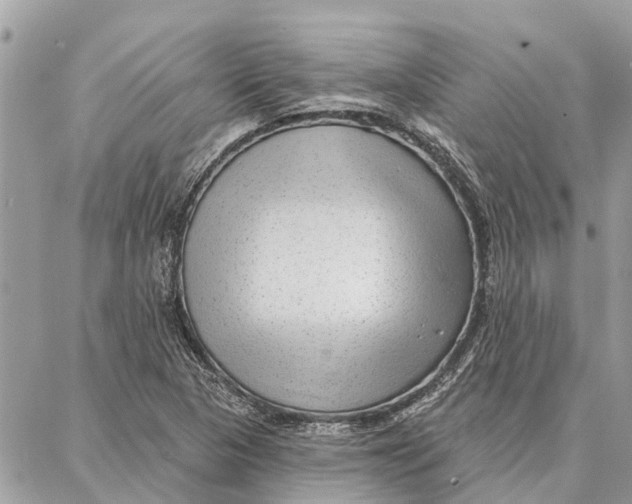 X0000086931313200705071343