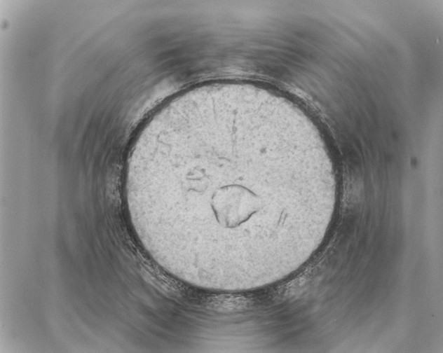 X0000086931314200705071343