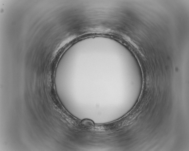 X0000086931315200705071343