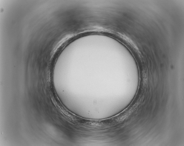 X0000086931318200705071343