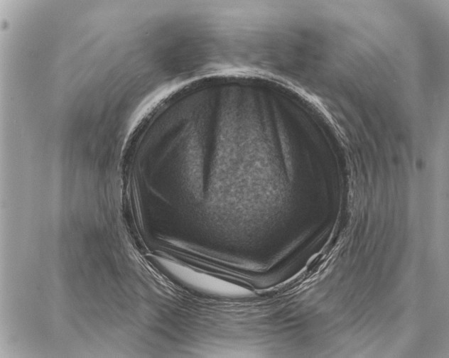 X0000086931319200705071343