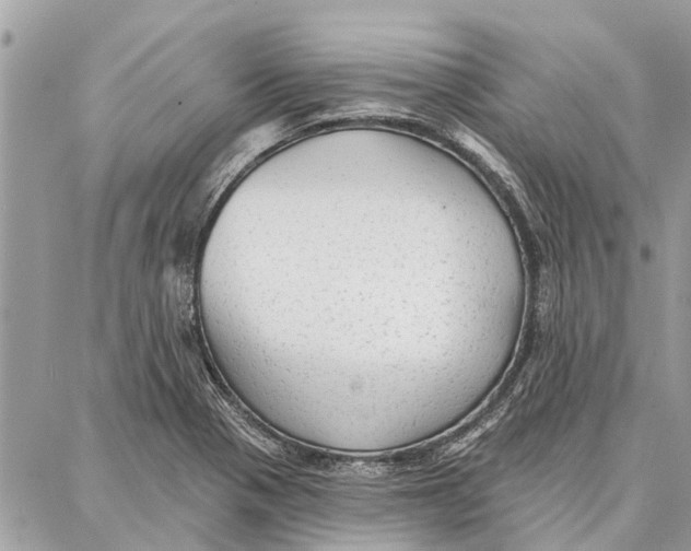 X0000086931321200705071343