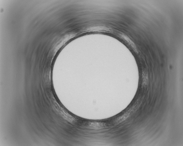 X0000086931322200705071343