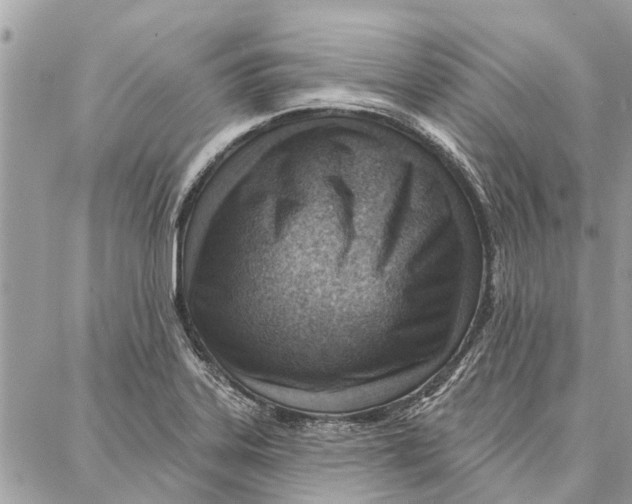 X0000086931323200705071343