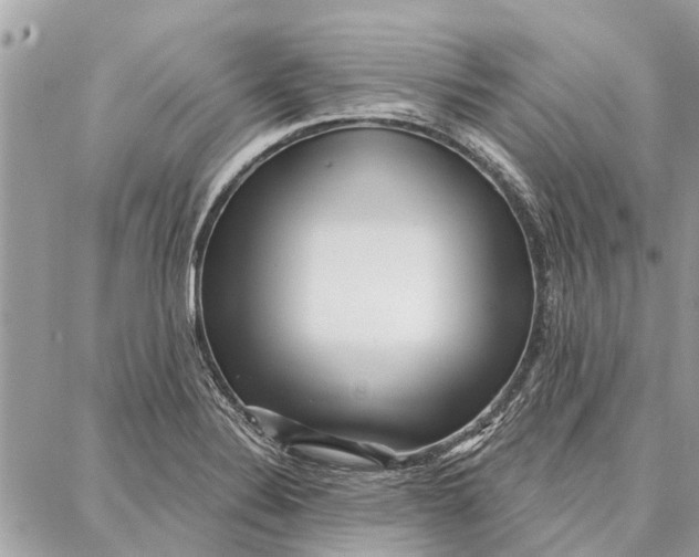 X0000086931324200705071343