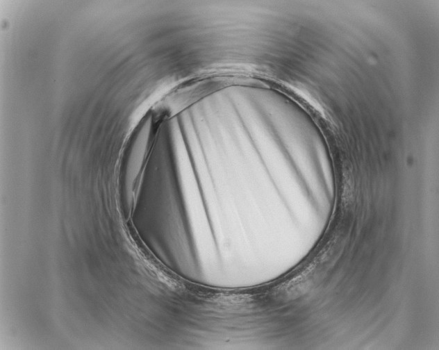 X0000086931325200705071343