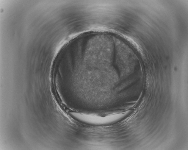 X0000086931327200705071343