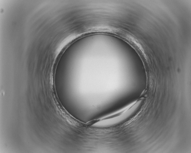 X0000086931328200705071343