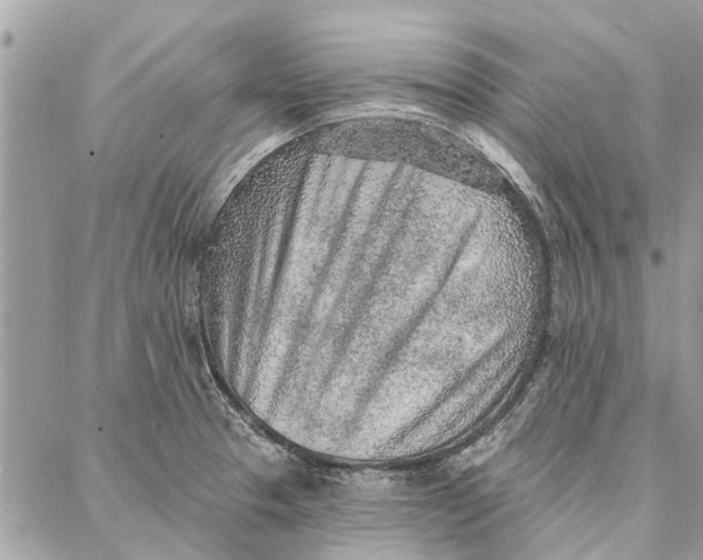 X0000086931329200705071343