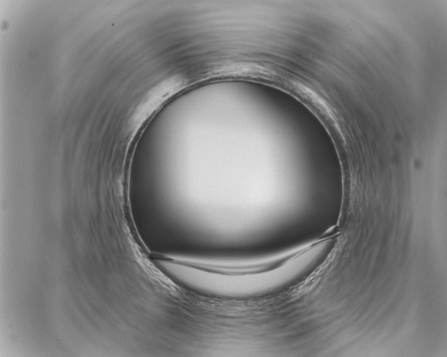 X0000086931330200705071343