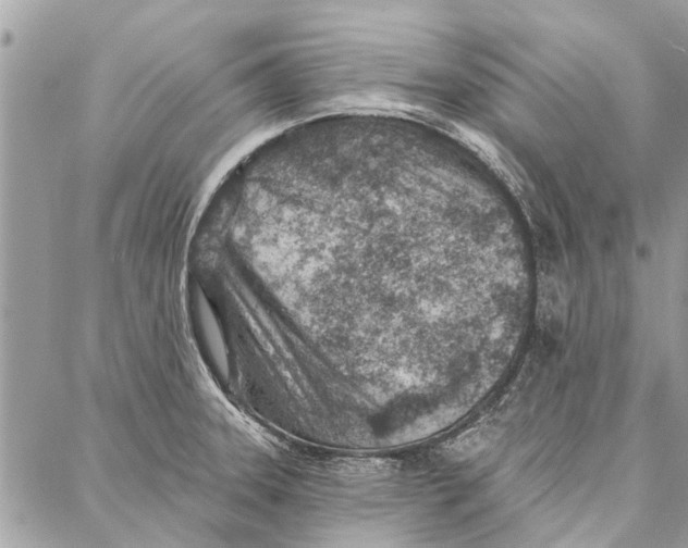 X0000086931331200705071343