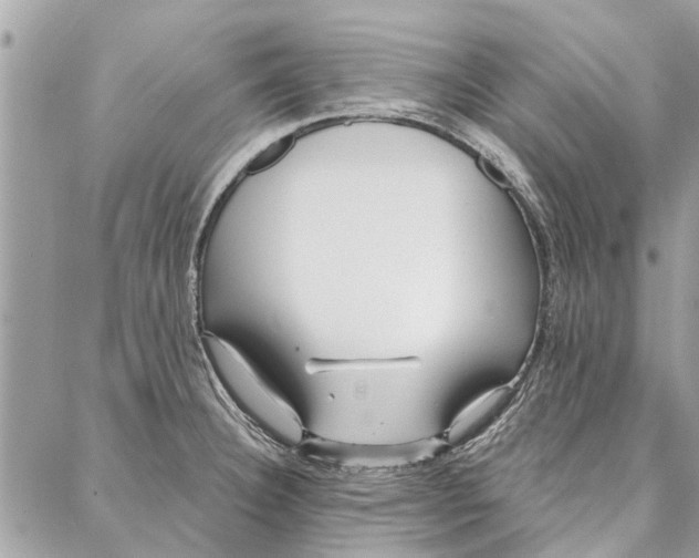 X0000086931332200705071343