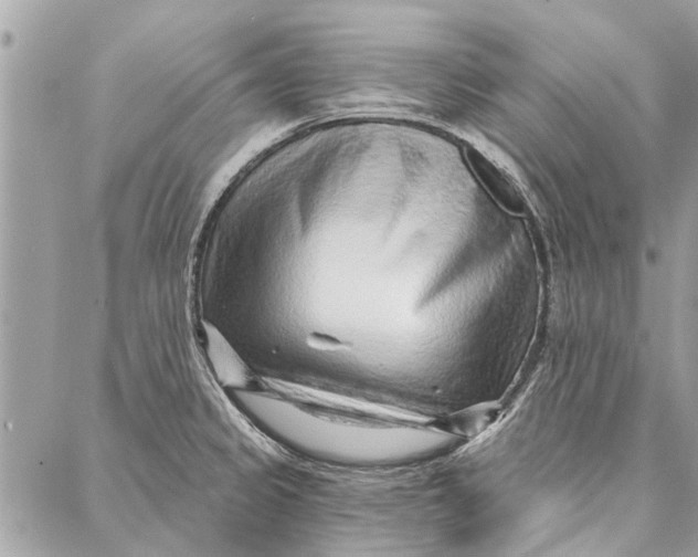 X0000086931333200705071343