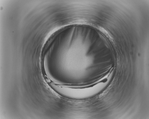 X0000086931334200705071343