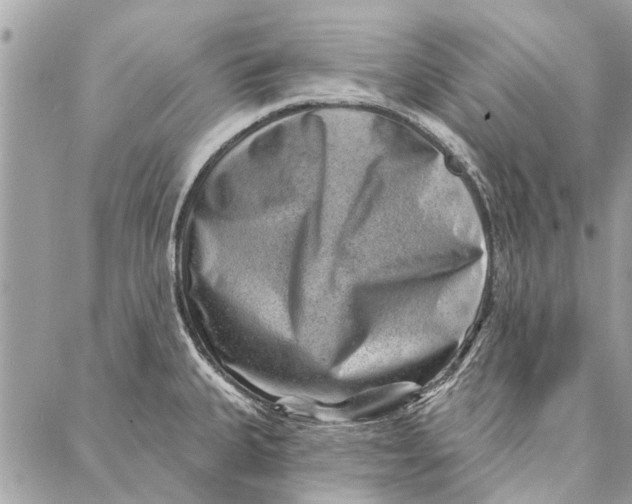 X0000086931335200705071343