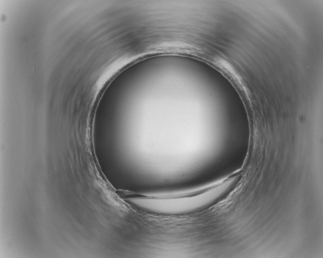 X0000086931336200705071343