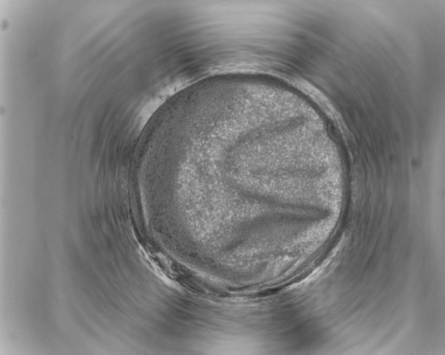 X0000086931337200705071343