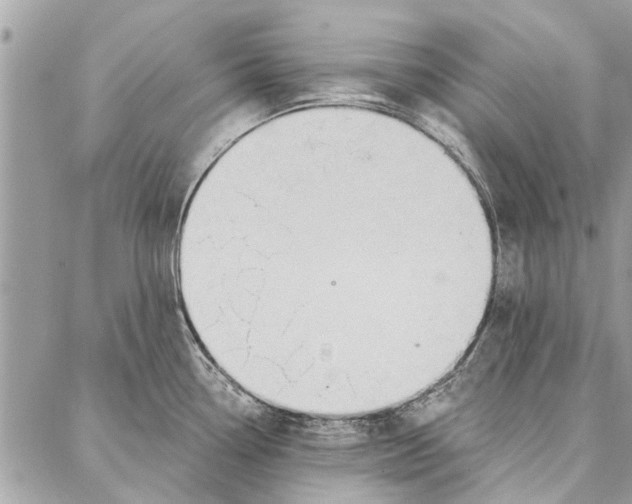 X0000086931338200705071343