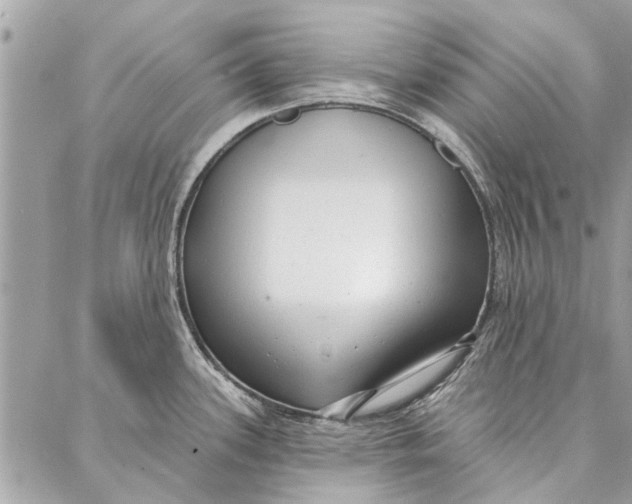 X0000086931339200705071343