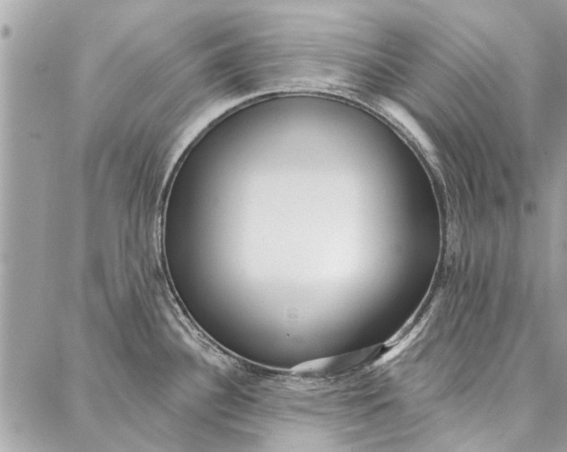 X0000086931340200705071343