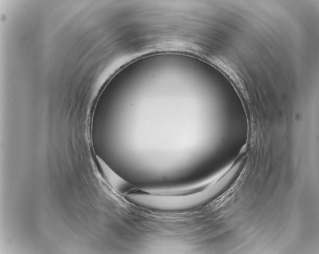 X0000086931342200705071343