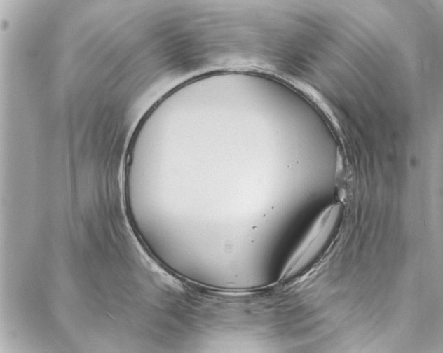 X0000086931343200705071343