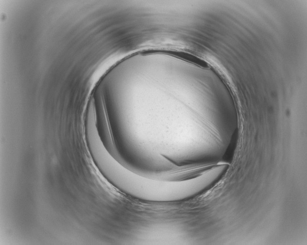 X0000086931344200705071343