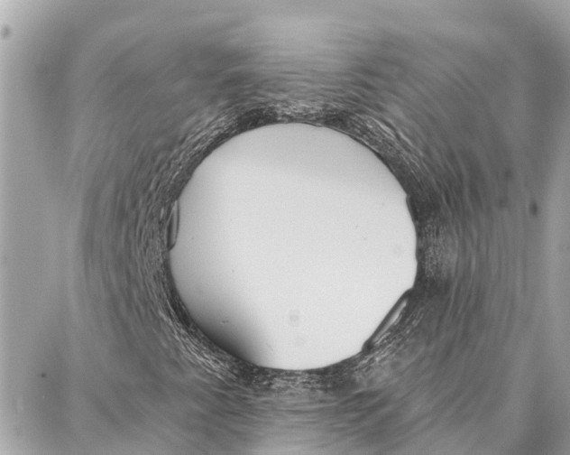 X0000086931345200705071343