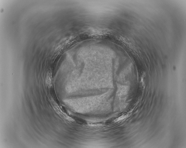 X0000086931348200705071343