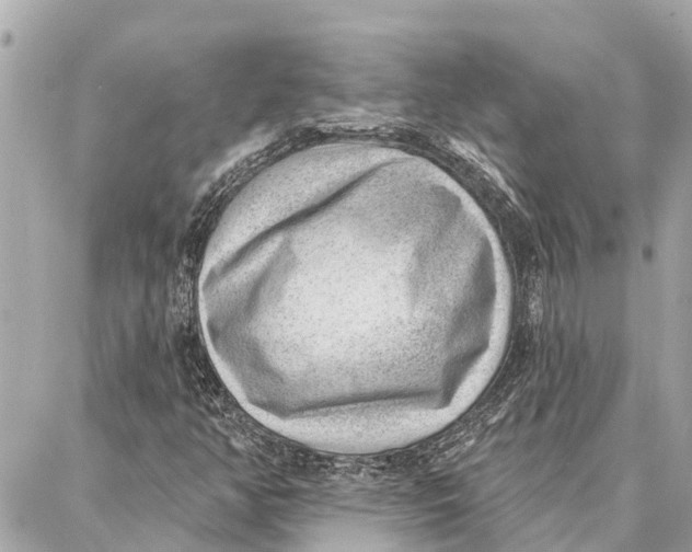 X0000086931350200705071343