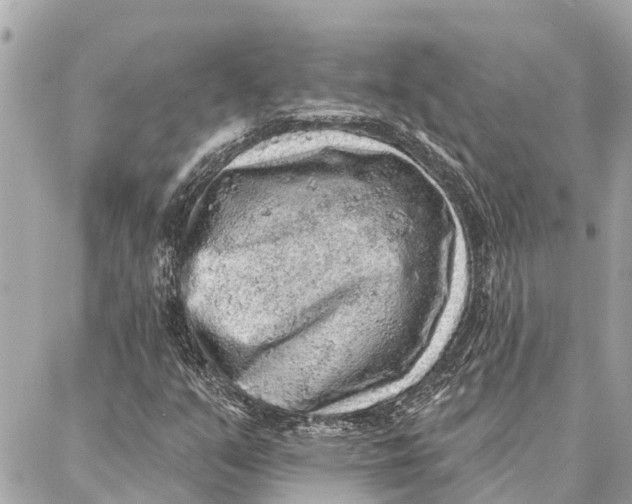 X0000086931351200705071343