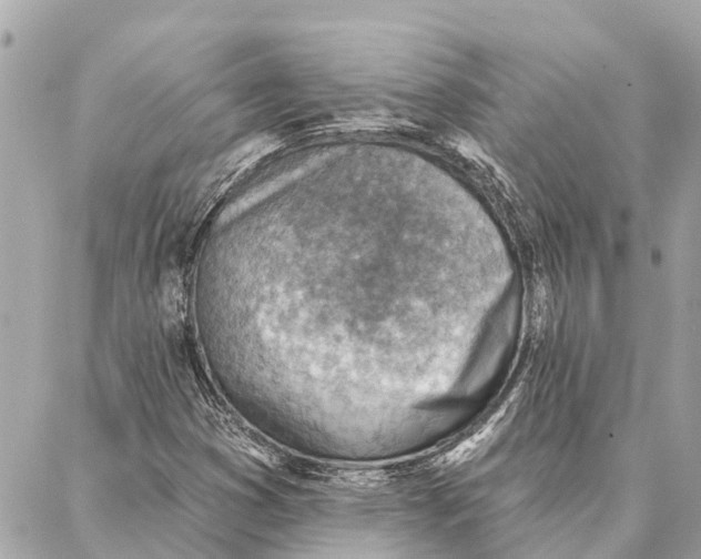 X0000086931353200705071343