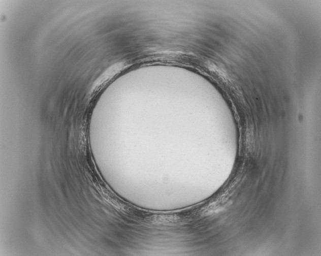 X0000086931354200705071343