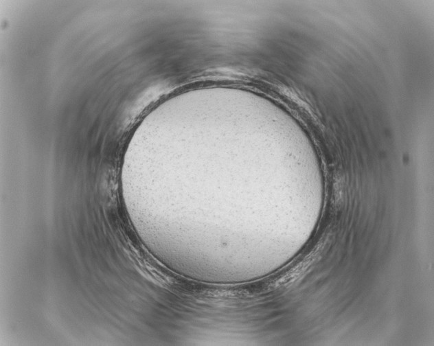 X0000086931355200705071343