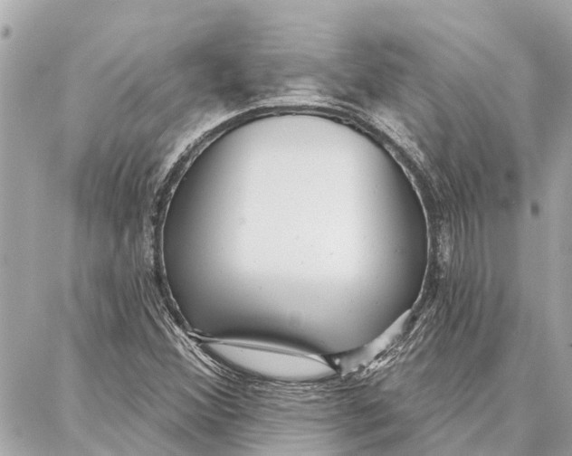 X0000086931356200705071343