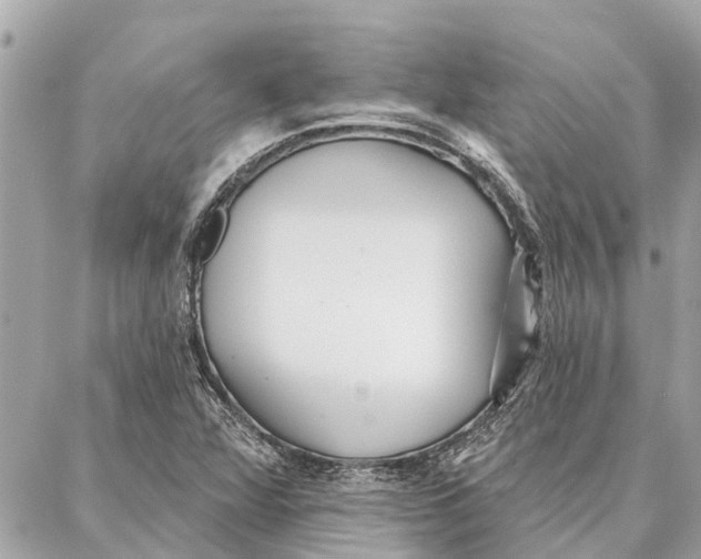 X0000086931360200705071342