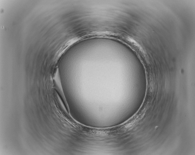 X0000086931361200705071342