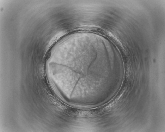 X0000086931362200705071342