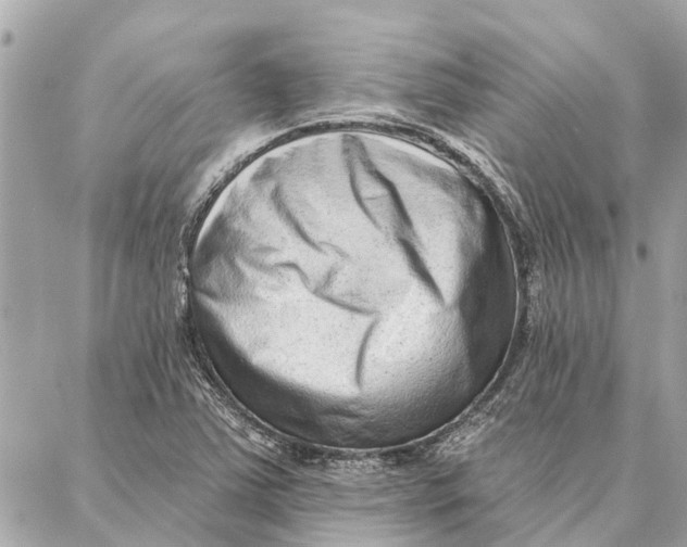 X0000086931363200705071342