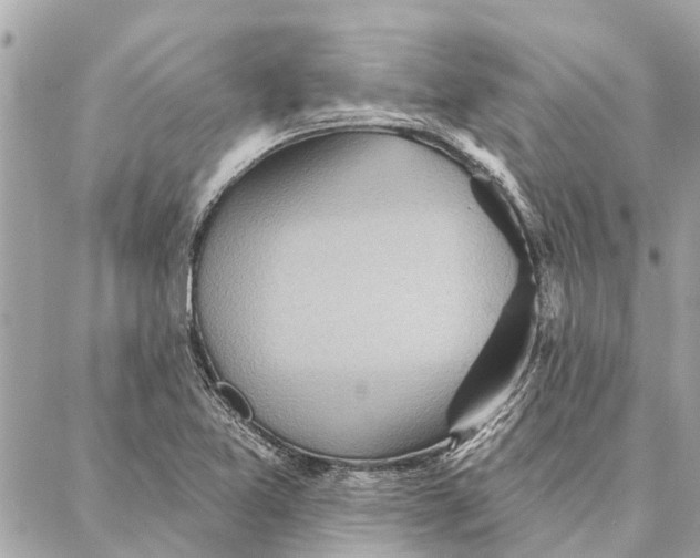 X0000086931365200705071342