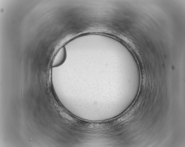 X0000086931366200705071342