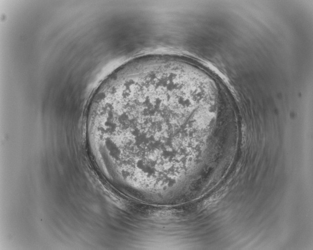 X0000086931367200705071342