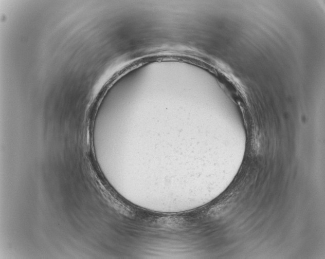 X0000086931368200705071342