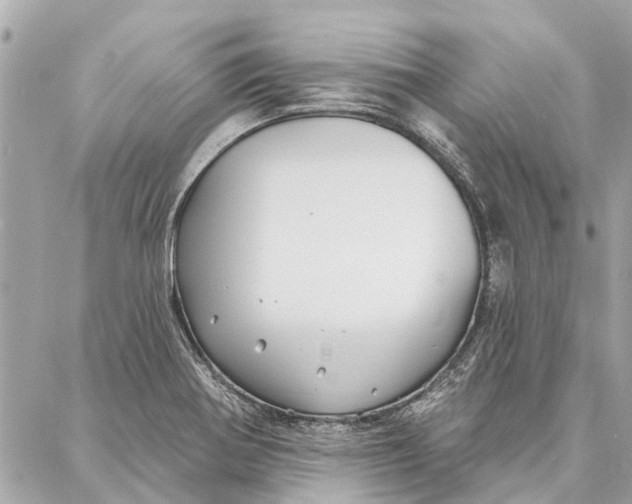 X0000086931370200705071342