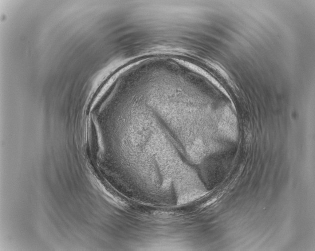 X0000086931371200705071342