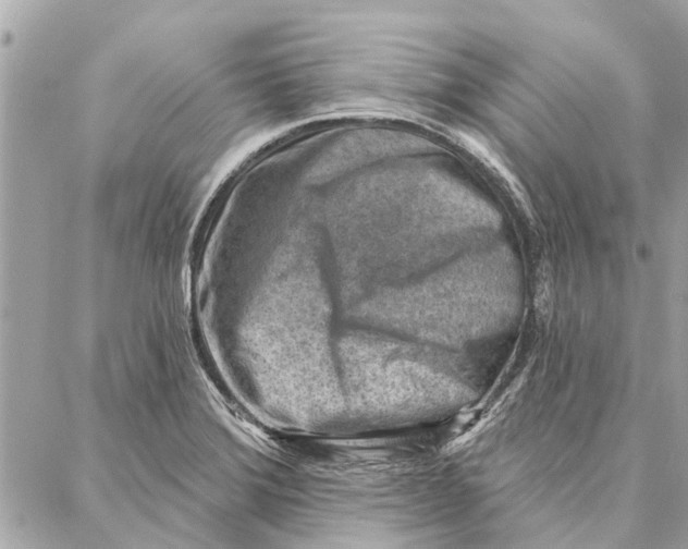 X0000086931372200705071342