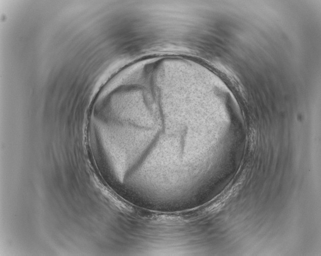 X0000086931374200705071342