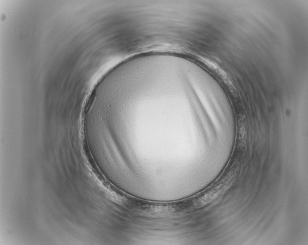 X0000086931375200705071342