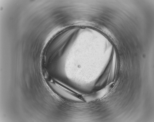 X0000086931376200705071342