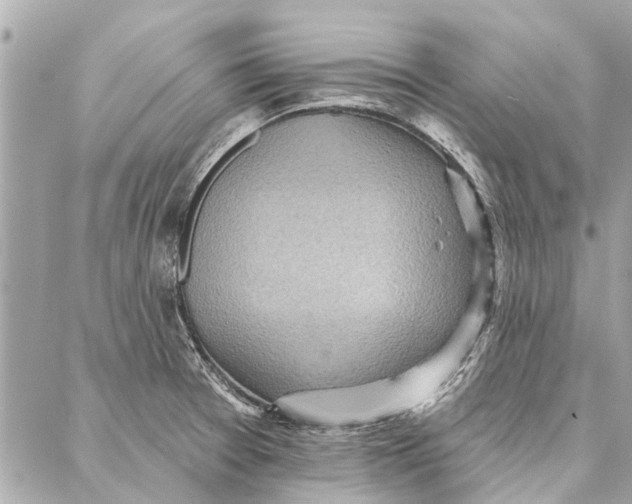 X0000086931377200705071342